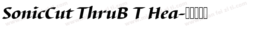 SonicCut ThruB T Hea字体转换